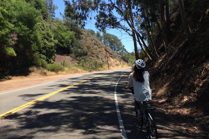 Golden Gate Bridge Bike Rentals - Very Close To The Bridge! - Price and Value: What $45 Covers and How the Ferry Changes the Day