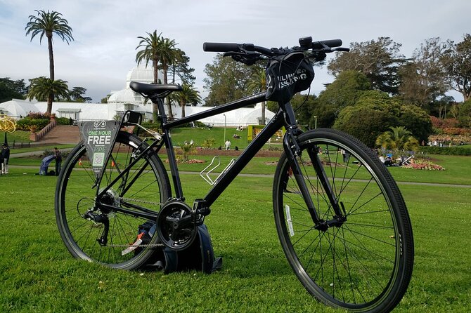 Golden Gate Park Bike Rentals - Golden Gate Park by bike: sights you can actually reach