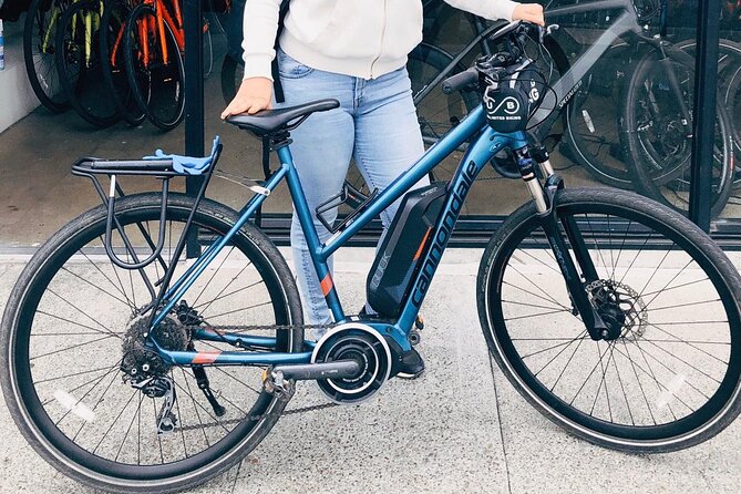 Golden Gate Park Bike Rentals - Extending to Ocean Beach: how to shape your day