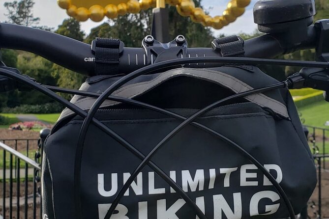 Golden Gate Park Bike Rentals - Service quality: where the shop seems great and where you should compensate