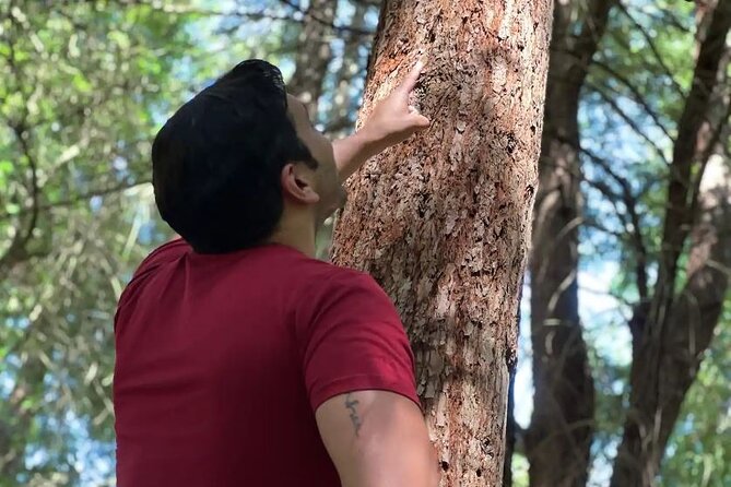 Golden Gate Park's Hidden Gems, Highlights and History - Timing, start/end spots, and how to plan your afternoon