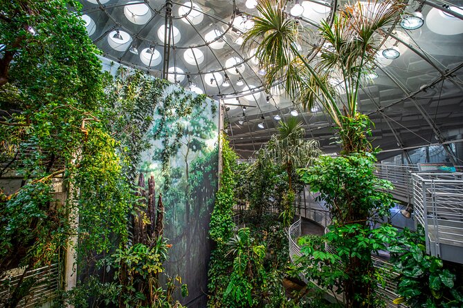 Golden Gate Park Tour With California Academy of Sciences Ticket - Starting at the California Academy of Sciences: the easiest way to do the morning right
