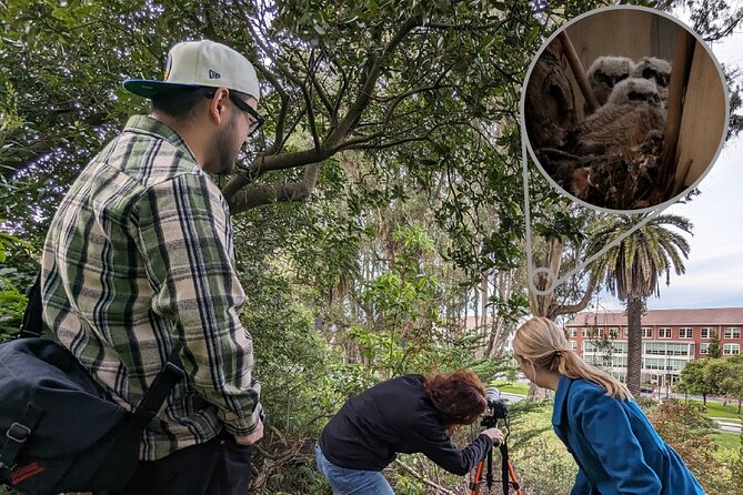 Golden Gate Park Twilight Wildlife Walking Tour - Stop One on the Walk: Wildlife Spotting Plus Park Stories