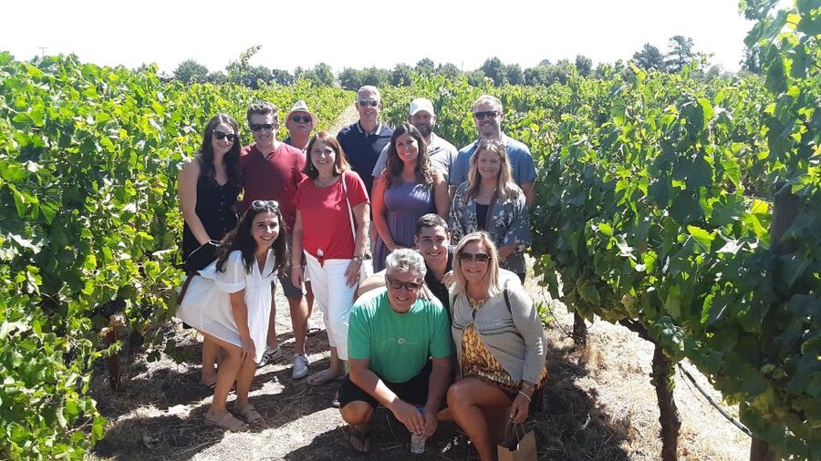 Guided Private Wine Tour to Napa and Sonoma Wine Country - Napa and Sonoma, but with your own plan and pace