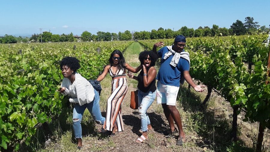 Guided Private Wine Tour to Napa and Sonoma Wine Country - What you should bring and plan for