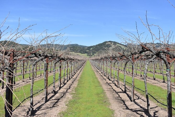Half Day Bike Tour - Sonoma and Napa on a Half-Day Bike Schedule