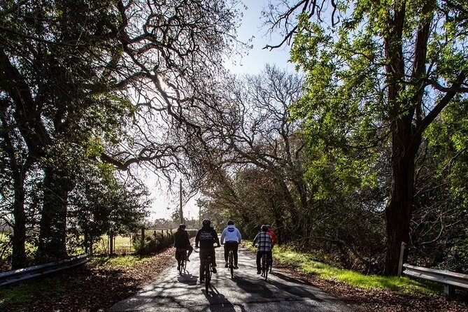 Half Day Bike Tour - Buena Vista Winery: One Hour at California’s Oldest Winery