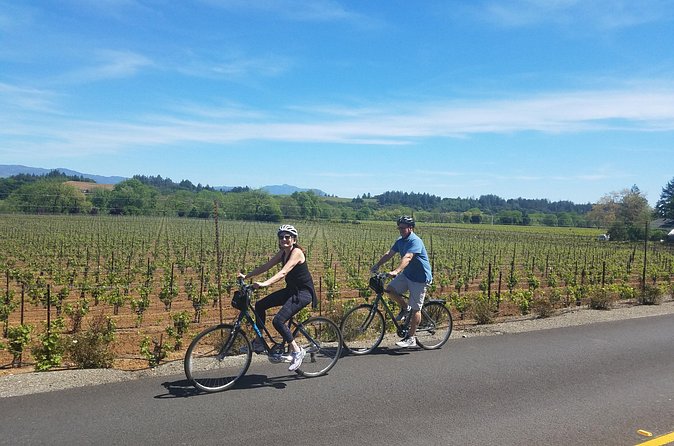 Half Day Bike Tour - Figone Olive Oil Company: A Free Tasting Break