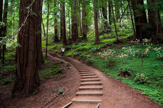 Half-Day Muir Woods & Sausalito Tour with Entry Ticket Included - Key Things I’d Focus On Before You Go