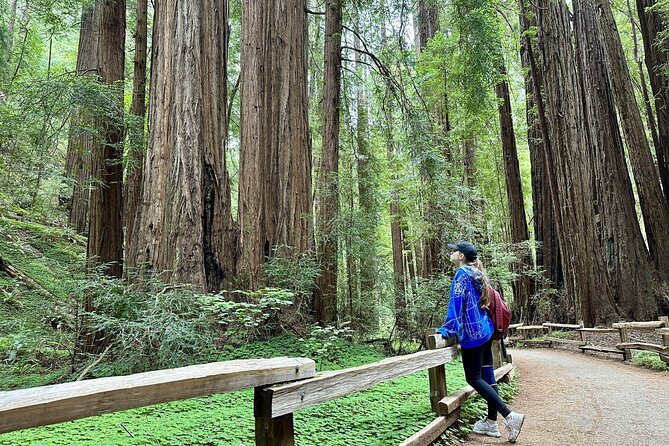 Half-Day Muir Woods & Sausalito Tour with Entry Ticket Included - Palace of Fine Arts: A 1915 Exposition Detour