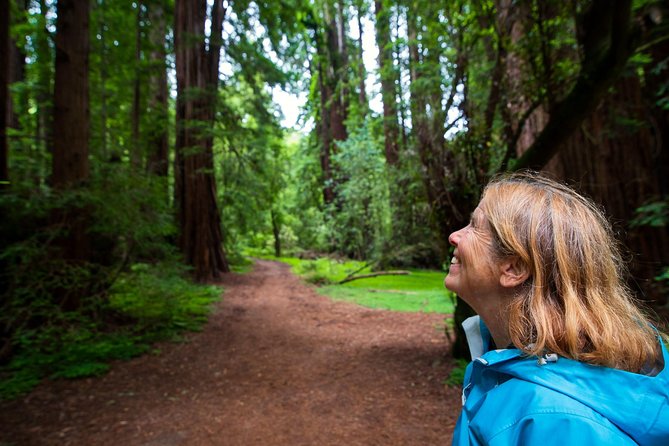 Half-Day Muir Woods & Sausalito Tour with Entry Ticket Included - Sausalito Waterfront Hour and Bay Bridge Views