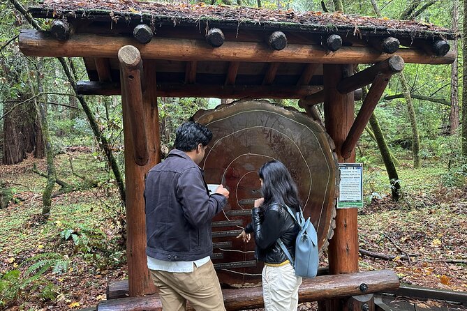 Half-Day Muir Woods & Sausalito Tour with Entry Ticket Included - Bus Comfort, Timing, and the Practical Tradeoffs