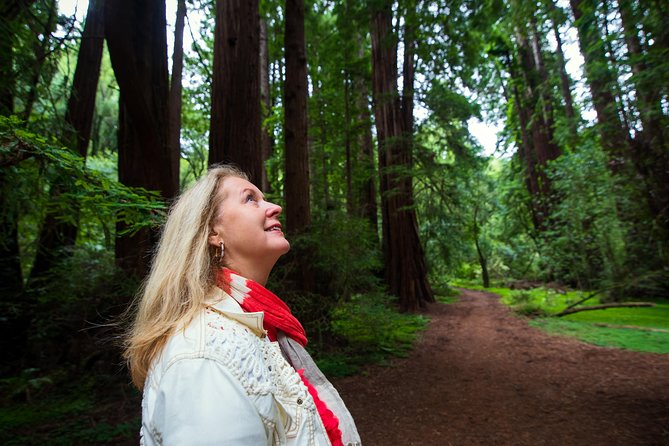 Half-Day Muir Woods & Sausalito Tour with Entry Ticket Included - Golden Gate Bridge North Vista Point Photo Break