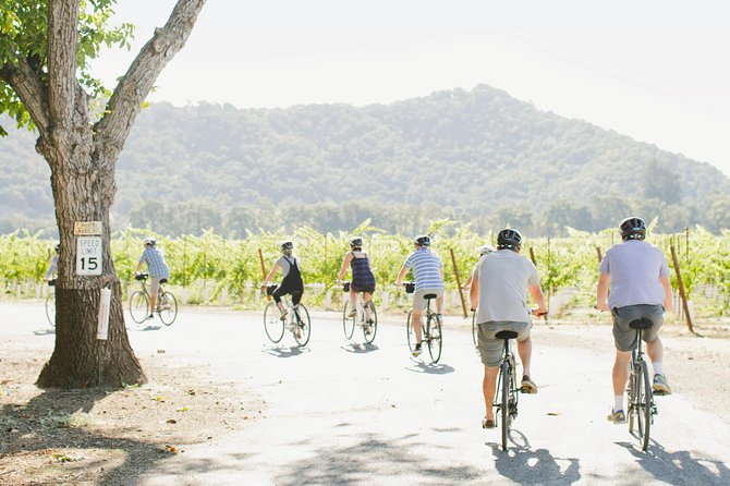 Half-Day Napa Winery E-Bike Tour - Monticello Vineyards: a family story and a bigger tasting window