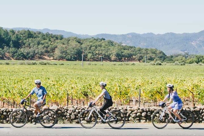 Half-Day Napa Winery E-Bike Tour - How the van support and wine-purchase pickup help you enjoy the day