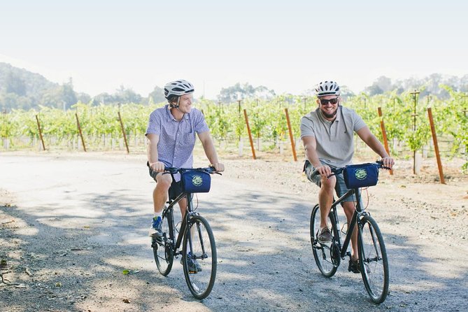 Half-Day Napa Winery E-Bike Tour - Price and value: is $169 really fair for this half-day?