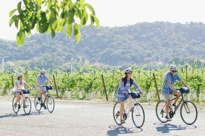Half-Day Napa Winery E-Bike Tour - Who should book this tour (and who should reconsider)