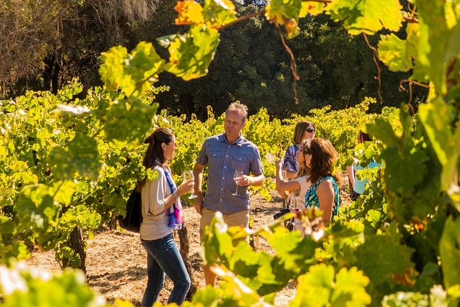 Half-Day Wine Country Tour from San Francisco - From Fisherman’s Wharf to the Golden Gate Bridge