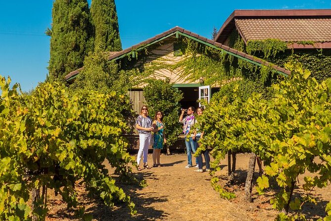 Half-Day Wine Tour Plus Hop-On Hop-Off Bus Pass - The Bus Pass System: How to Use Hop-On Hop-Off Without Wasting Time