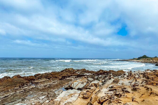 Highway 1 Pacific Coast Highway Self-Guided Driving Tour Bundle - Monterey to Big Sur: Sardines, Cannery Row, and the Bridges You’ll Photograph Twice