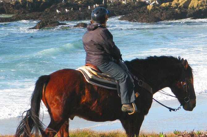 Horseback Ride & Alcatraz Prison Tickets - How this horseback-and-Alcatraz day really plays out
