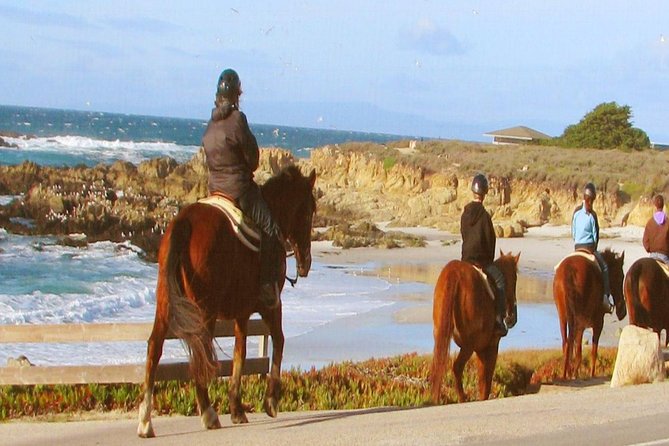 Horseback Ride & Alcatraz Prison Tickets - The ranch horseback ride: beach or forest, with real limits