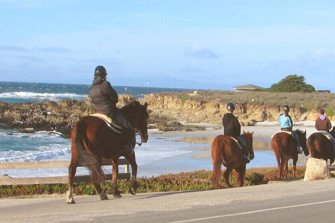 Horseback Ride & Alcatraz Prison Tickets - Switching gears: heading to the Alcatraz ferry on time