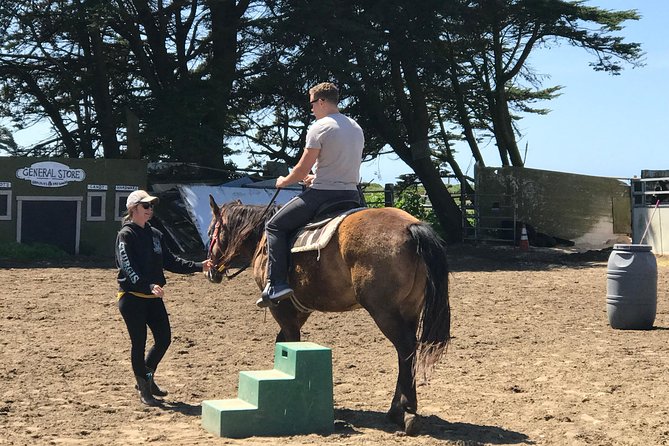 Horseback Ride & Alcatraz Prison Tickets - Who should book this combo tour