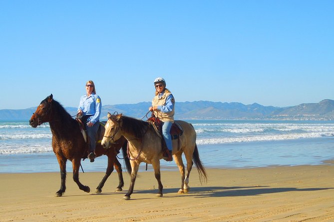Horseback Ride & Alcatraz Prison Tickets - Morning pickup and the ride south along California’s coast