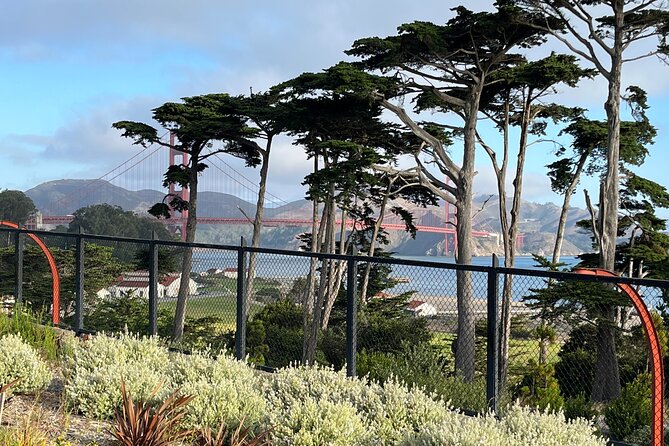 Iconic San Francisco Urban Hiking Tour - The National Cemetery and the scale of 30,000 veterans and family members