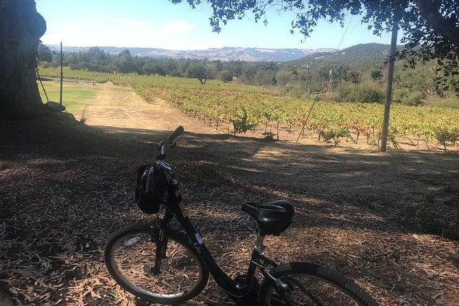 Independent Hassle-free Bike Rental in Sonoma - Best fit: who this Sonoma Adventures rental works for