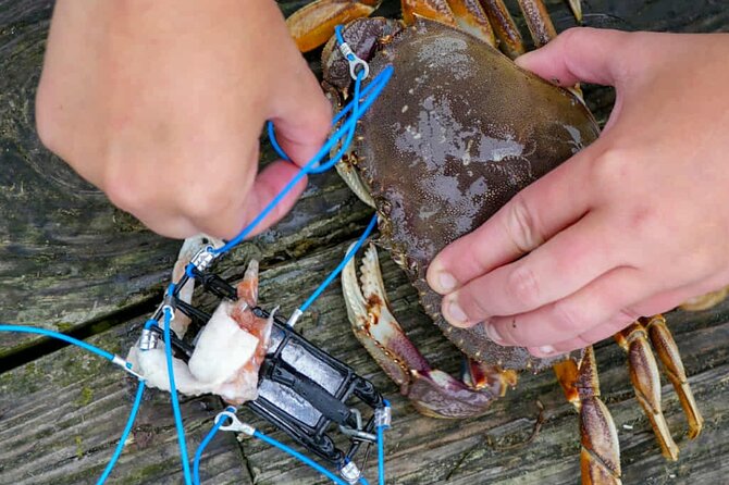 Learn to Catch and Cook Crab under Golden Gate Bridge SF - Who should book this crab lesson under the bridge