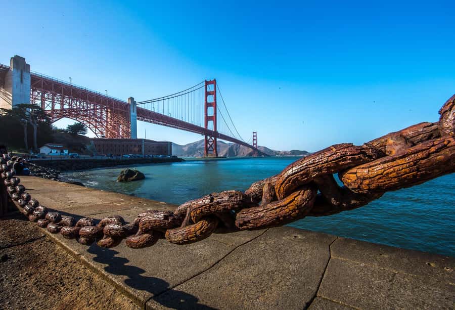 Lombard Leap: Lombard Street, Coit Tower and Chinatown Tour - The 45-Minute Route That Fits a Packed Day