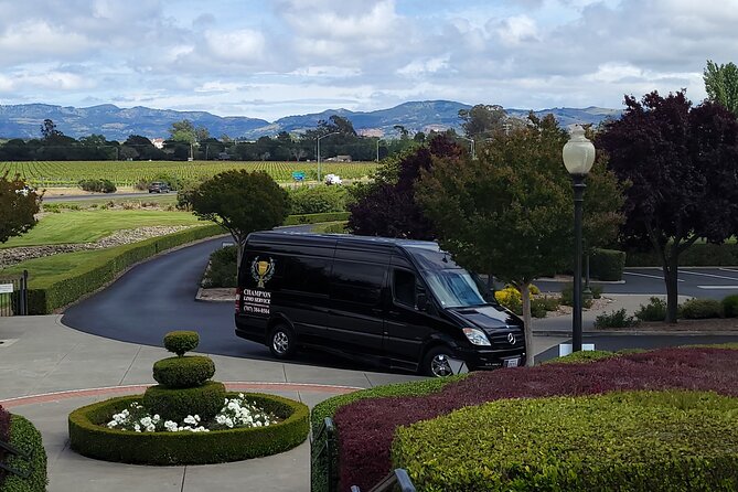 Mercedes-Benz Sprinter Wine Tasting Experience (chlid seat avil.) - Why a Mercedes-Benz Sprinter tour feels better in wine country
