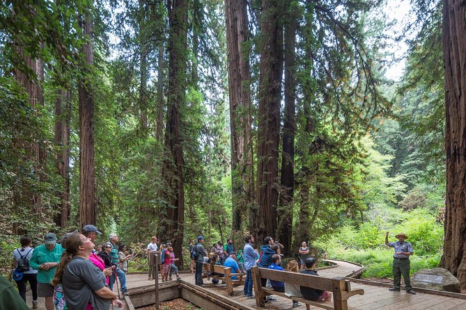 Mix & Save: Muir Woods and Sausalito + Escape From the Rock Cruise - Pier 39 and the Escape From the Rock Cruise: Alcatraz angles without the entry