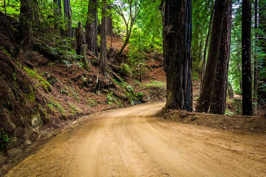 Monterey, Carmel, 17 Mile Dr, Big Sur & Mcway Falls Pvt Tour - Pebble Beach and the 17-Mile Drive Chain Reaction