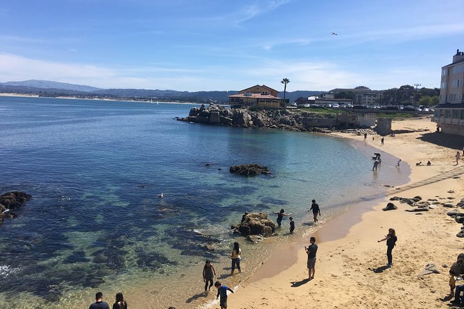 Monterey, Carmel and 17-Mile Drive: Full Day Tour from SF - A long Highway 1 day: what 11 hours really means