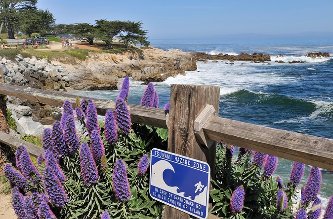Monterey, Carmel and 17-Mile Drive: Full Day Tour from SF - Monterey at Cannery Row: where lunch, shops, and the aquarium fit