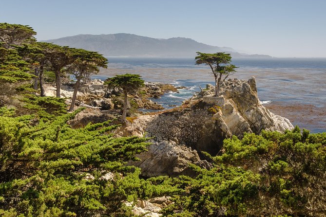 Monterey, Carmel and 17-Mile Drive: Full Day Tour from SF - 17-Mile Drive included: iconic pull-offs and smart timing