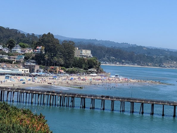 Monterey, Carmel and Big Sur private Day Trip from San Francisco - Small Details That Help You Enjoy the Coasts More