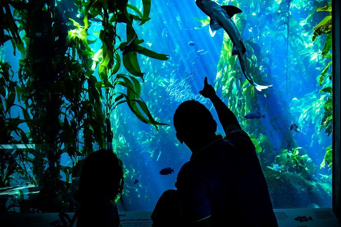 Monterey, Carmel and Pacific Coast Explorer from San Francisco - Why this Monterey–Carmel day trip feels like a best-of California coast