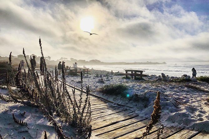 Monterey, Carmel and Pacific Coast Explorer from San Francisco - Timing, meals, and that real-life logistics question: can you handle a tight schedule?