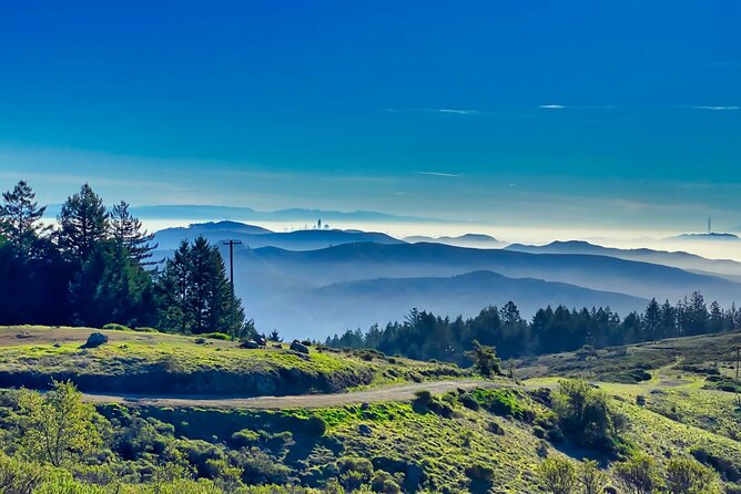 Muir Woods and Sausalito Half Day Tour - The Curvy Road to Muir Woods: Beautiful, but Plan if You Get Nauseous