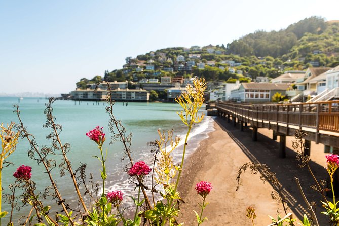 Muir Woods and Sausalito Half Day Tour - What to Bring (Because the Woods and Waterfront Aren’t Always Warm)