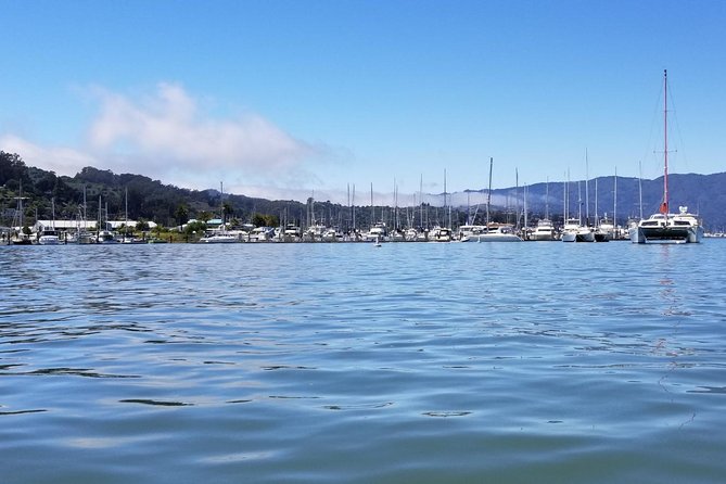 Muir Woods and Sausalito Morning Tour Small-Group Half Day - Small-group dynamics: why max 14 people matters
