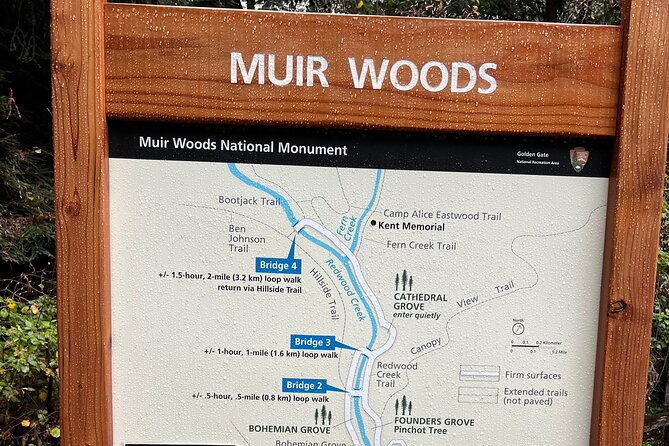 Muir Woods and Sausalito Private Tour - Muir Woods Cathedral Grove: The 90-Minute Walk You’ll Actually Remember