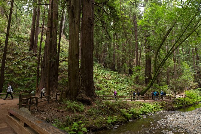 Muir Woods and Sausalito (Return by Bus or Ferry) - Where the Day Starts: Union Square vs Fisherman’s Wharf