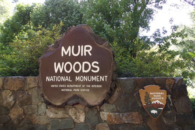 Muir Woods and Sausalito (Return by Bus or Ferry) - Coming Back to San Francisco: Bus vs Ferry from Sausalito