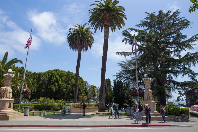 Muir Woods and Sausalito (Return by Bus or Ferry) - Golden Gate Bridge Photo Stop: North Vista Point in 10 Minutes