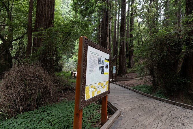 Muir Woods and Sausalito Tour Entrance Fee Included - Marin County ride to Muir Woods: the view you get before the trees